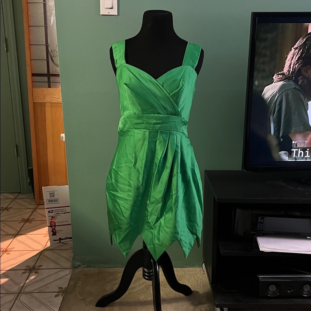 Custom made Tinkerbell costume